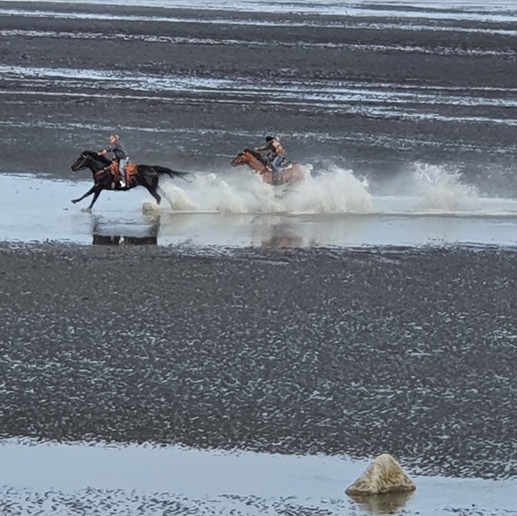 Meet your Posher, Terter - Picture 11 of 16